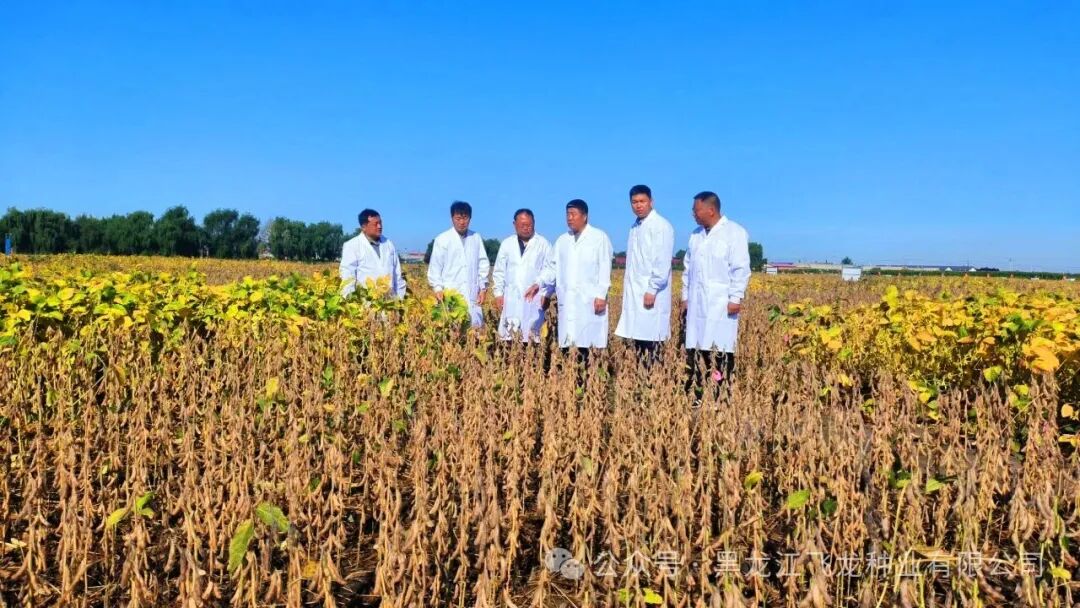 1757747553849963.jpg 3.jpg